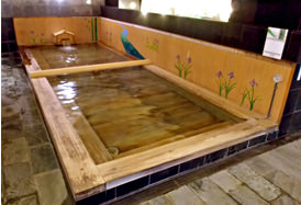 東京天然温泉 古代の湯 篠崎 温泉 内風呂