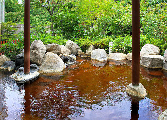 スーパー銭湯 東京 豊島園庭の湯 風呂