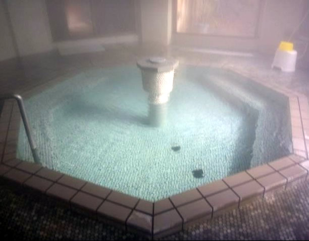 つるや旅館 湯田中温泉 温泉 日帰り 八角形の浴槽が特徴的な内風呂