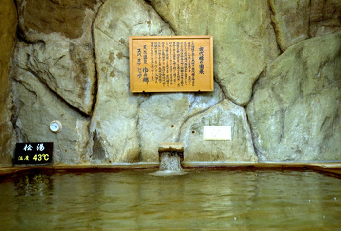 スーパー銭湯 埼玉 ゆの郷SpaNusaDua 内風呂の石積古代檜風呂