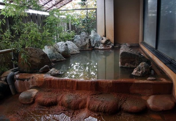大沼旅館 遠刈田温泉 温泉 日帰り やわらかな湯に包まれる露天風呂